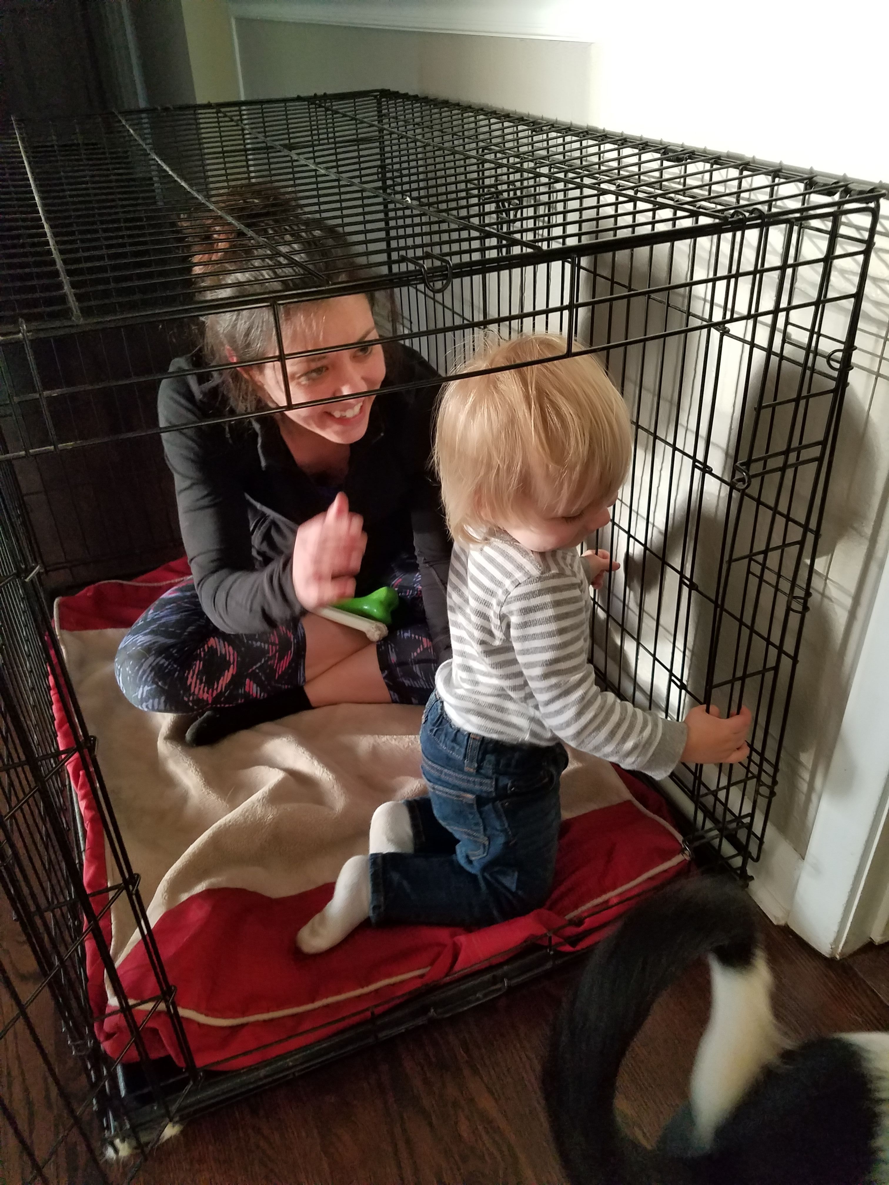 Caged Animal